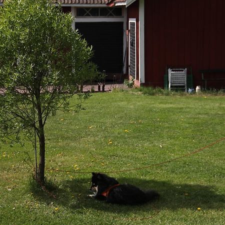 Mora Vandrarhem Och Gaesthem Vinas Bagian luar foto
