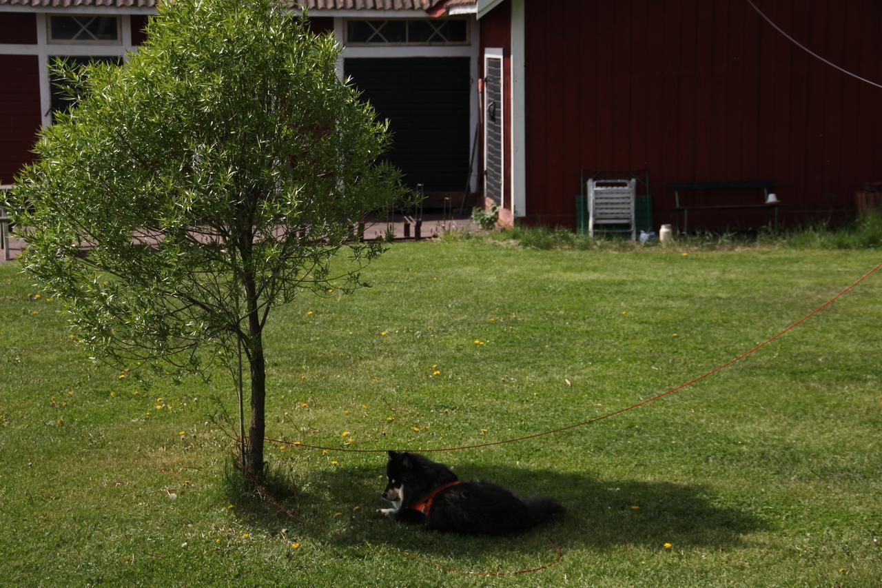 Mora Vandrarhem Och Gaesthem Vinas Bagian luar foto