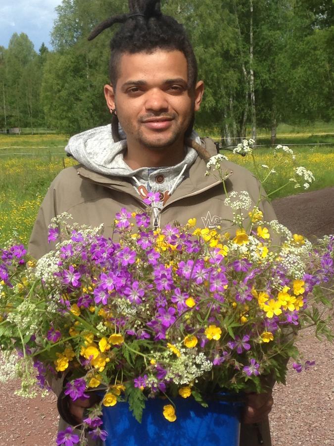 Mora Vandrarhem Och Gaesthem Vinas Bagian luar foto