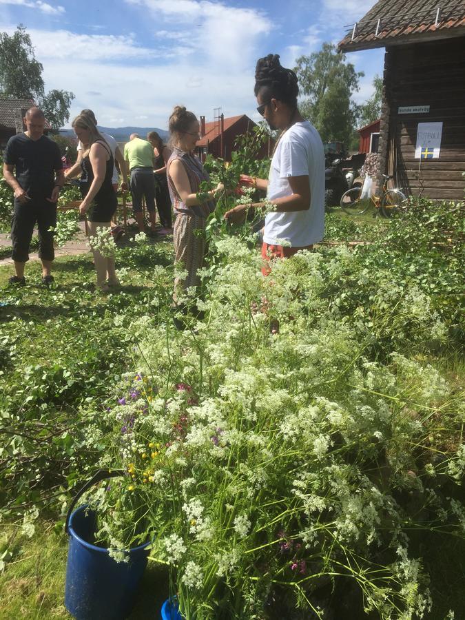 Mora Vandrarhem Och Gaesthem Vinas Bagian luar foto