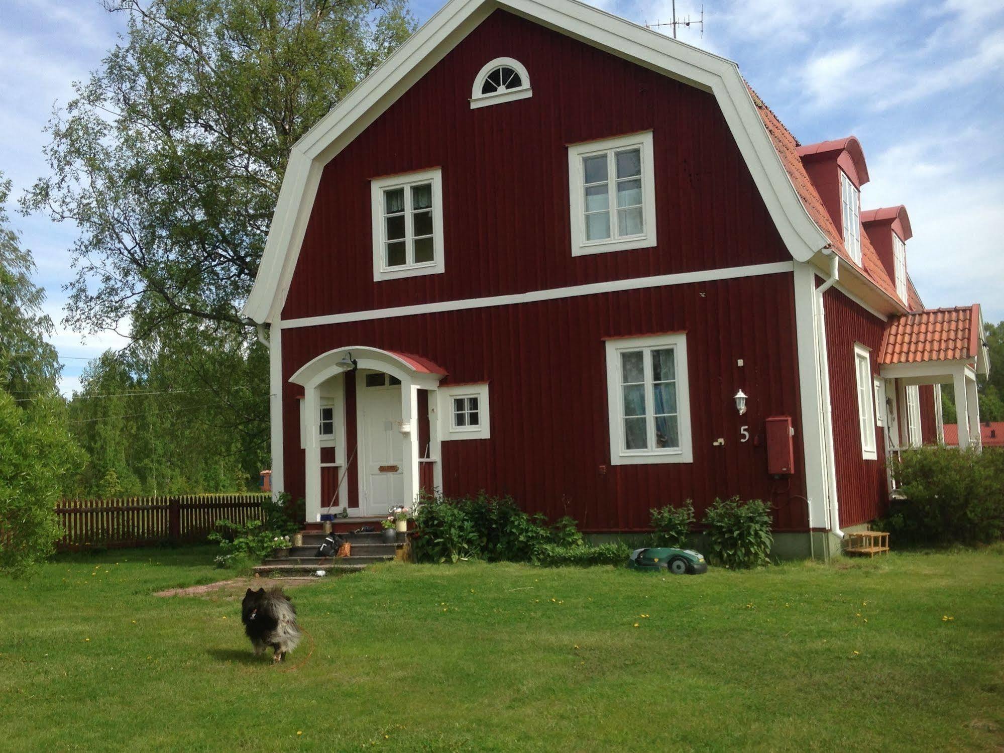 Mora Vandrarhem Och Gaesthem Vinas Bagian luar foto