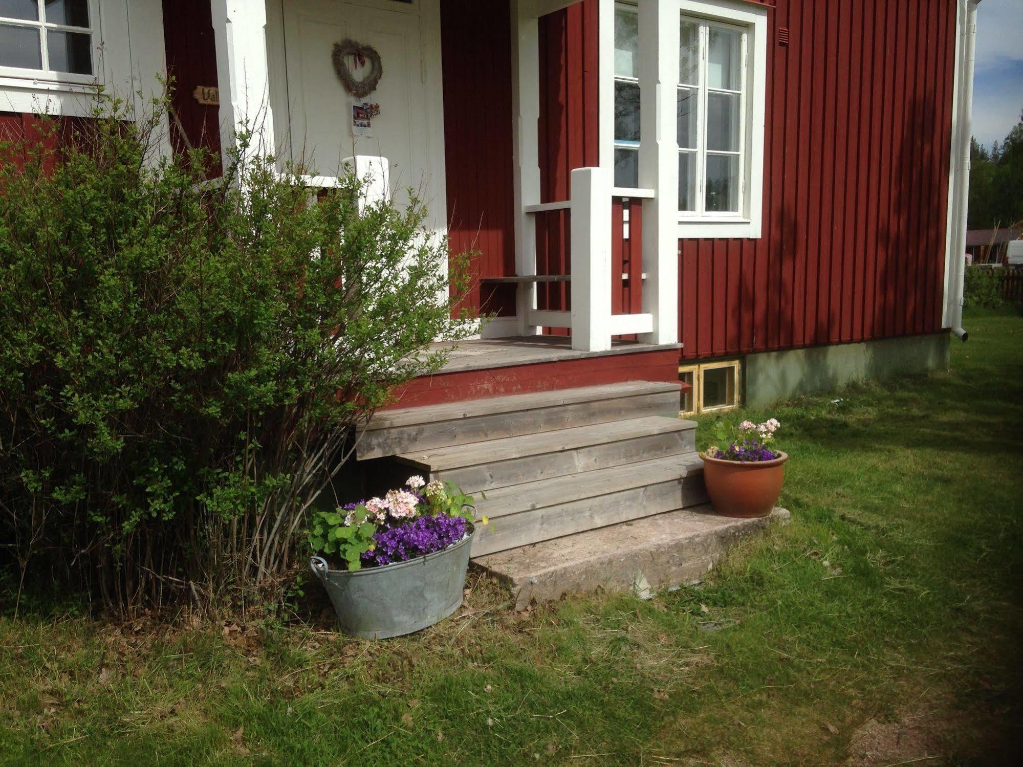Mora Vandrarhem Och Gaesthem Vinas Bagian luar foto